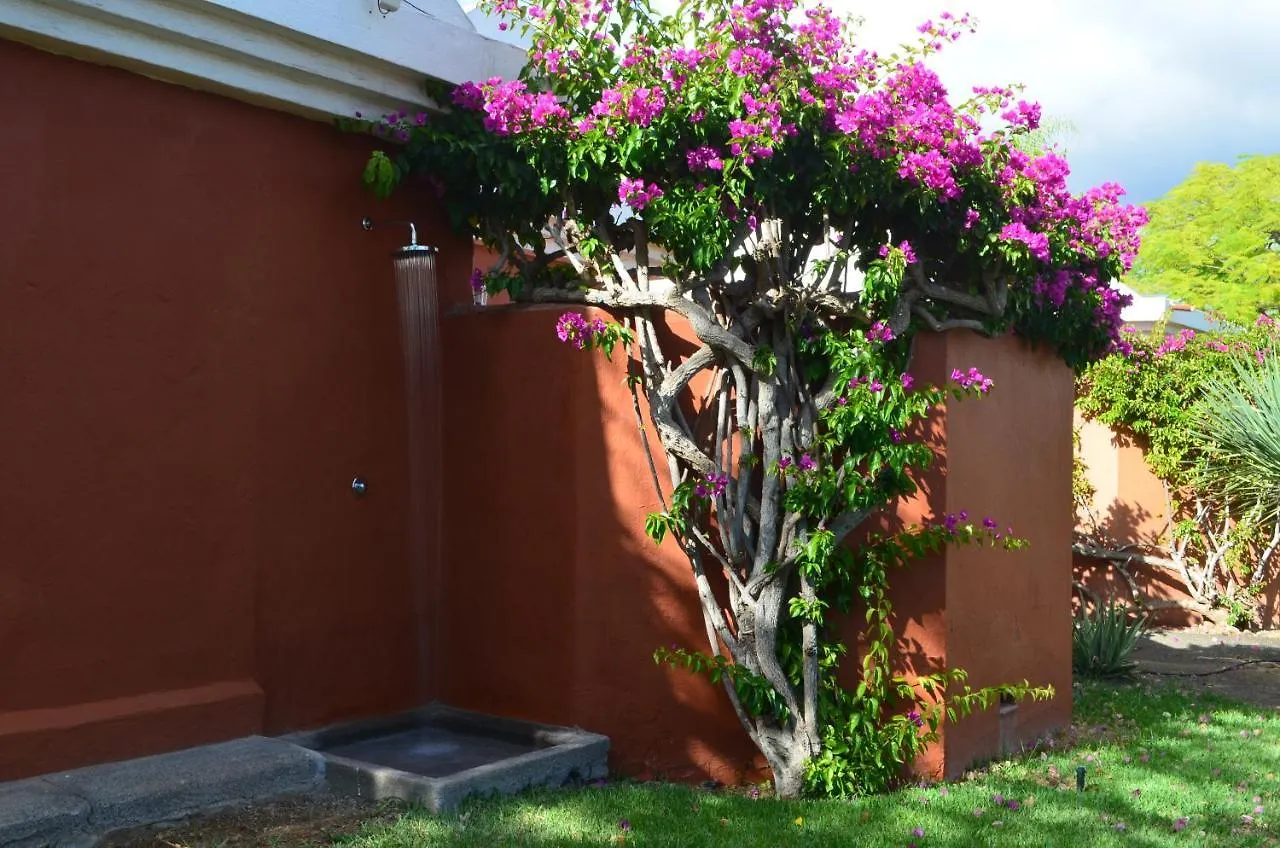The Peaches Bungalows 45 & 46 Maspalomas  Spain